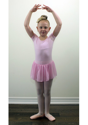 Ballet Girls Leotard Dress 13